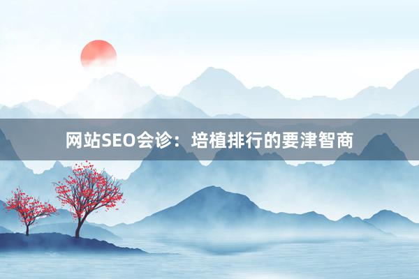 网站SEO会诊：培植排行的要津智商